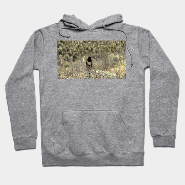 Channel Islands National Park Santa Cruz Island Hoodie by supernova23